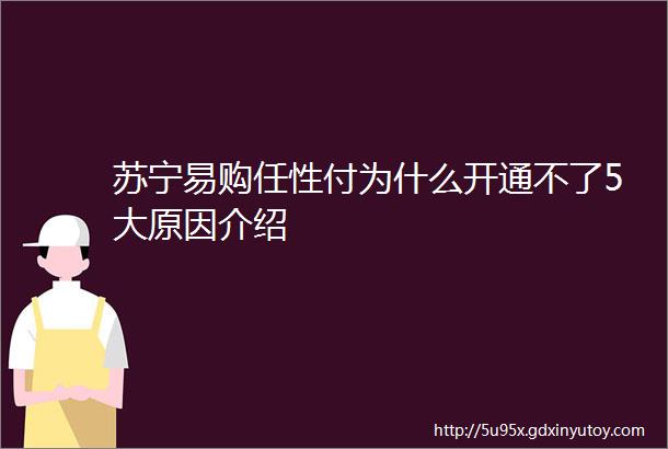 苏宁易购任性付为什么开通不了5大原因介绍